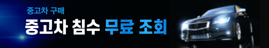 중고차 침수차 조회방법
